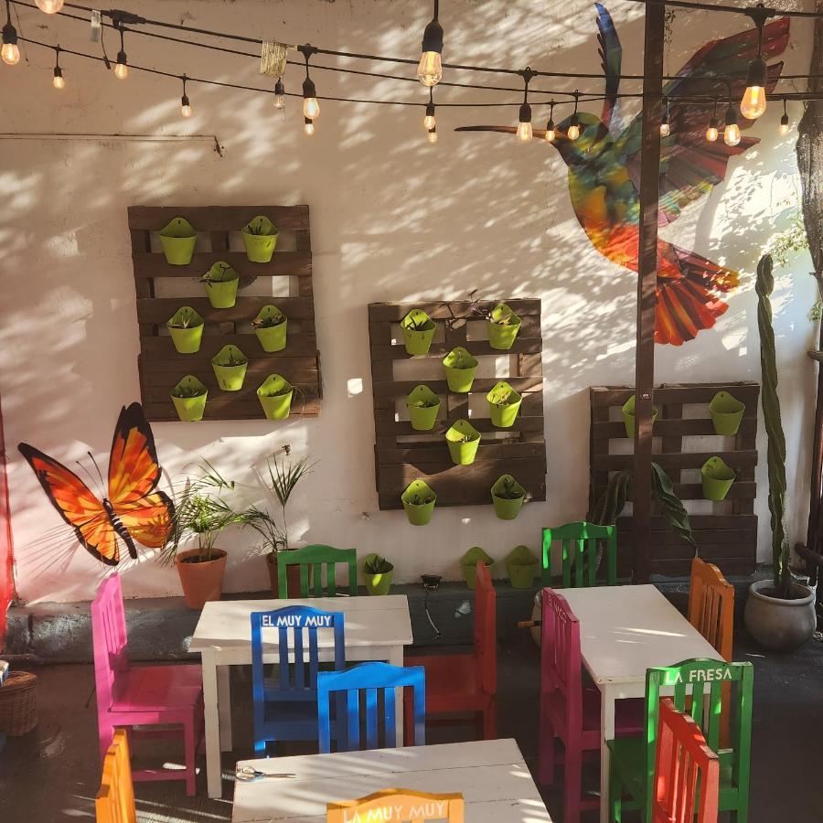 Casa Frida Villa Tulum Ngoại thất bức ảnh